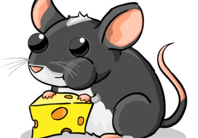 680x474 Draw Any Animal You Want In My Cute And Chubby Cartoon Style By