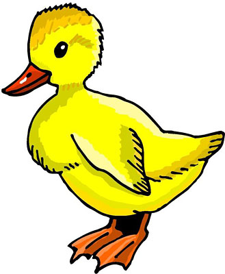 329x400 Duck Pictures Clip Art