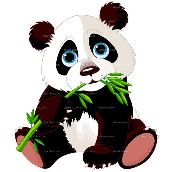 564x564 Cute Panda Bear Clipart Free Images 8
