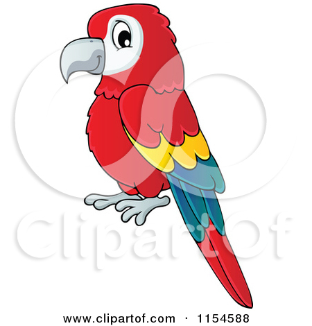 450x470 Cartoon Parrot Clipart 1947121