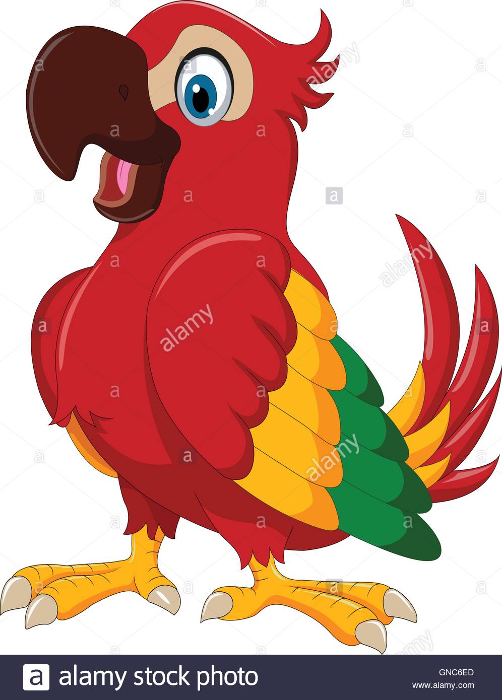 996x1390 Cartoon Red Parrot Bird Character Pointing With Its Wing Stock