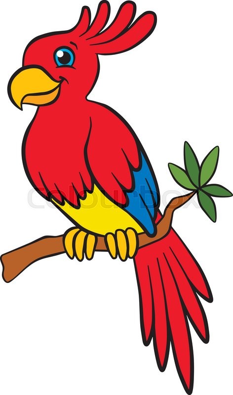 472x800 Parrot Clipart Adorable