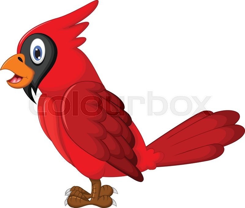 800x677 Red Cartoon Macaw With Thumbs Up. Vector Clip Art Illustration