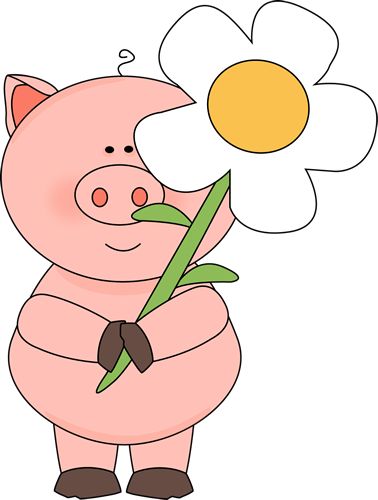 Cute Pig Clipart