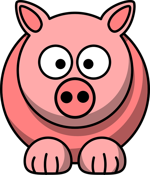 619x720 Free Photo Animal Face Pig Mammal Head Funny Pink Cute