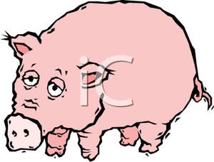 300x228 Colorful Cartoon Of Cute Pig