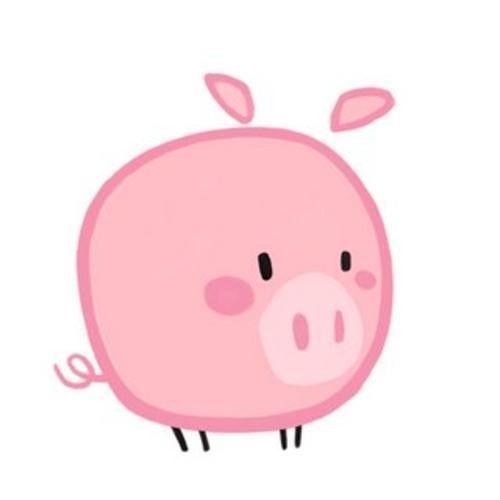 500x500 4063 Best Lt3 Oink's World Lt3 Images Baby Pig