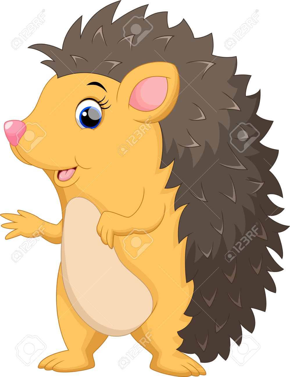 998x1300 Cute Hedgehog Cartoon Royalty Free Cliparts, Vectors, And Stock