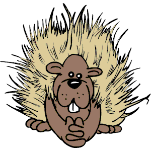 300x300 Porcupine Clipart Cartoon
