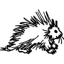 225x225 Printable Porcupine Silhouette