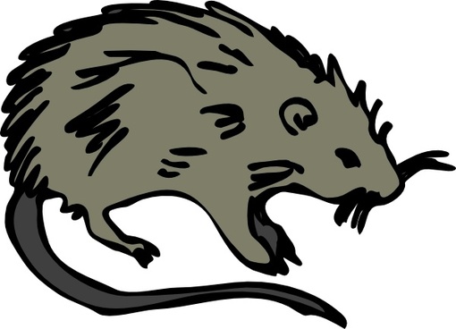 510x368 Rat Free Vector Download (80 Free Vector) For Commercial Use