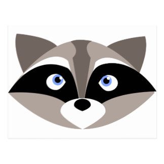 324x324 Raccoon Clipart Face