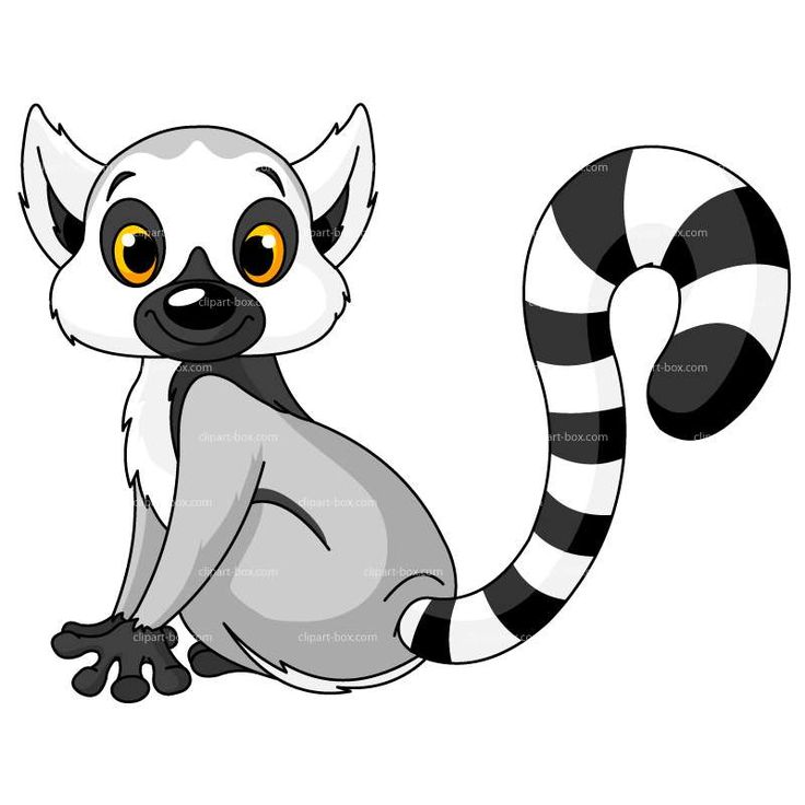 736x736 294 Best Animals