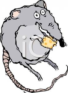 220x300 Colorful Cartoon Of A Cute Rat With A Piece Of Cheese