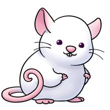 220x220 Rat Clipart Cute