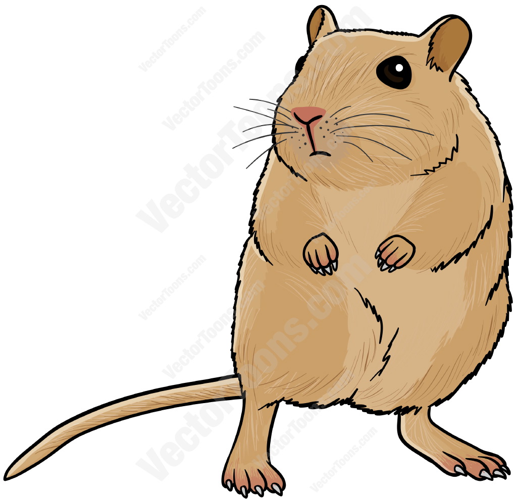 1024x995 Top 97 Gerbil Clip Art