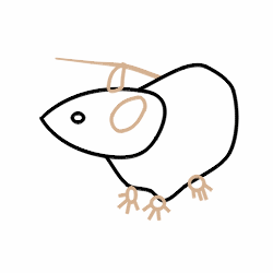 250x250 Drawing Cartoon Rats