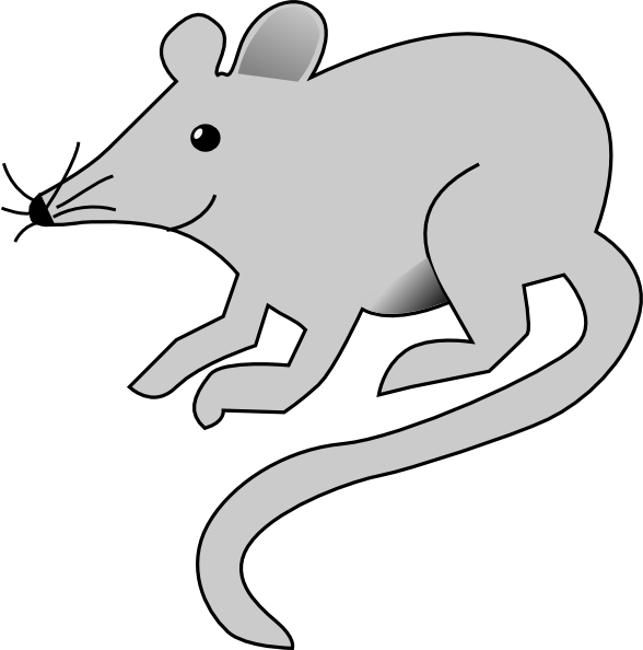588x594 Rat Clipart Transparent
