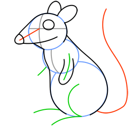 260x260 Rat Drawing The Body And Research Rats, Free