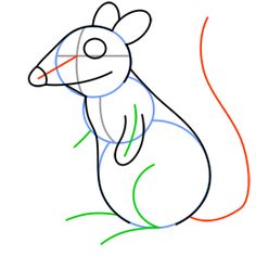 236x236 Rat Pet Petsofinstagram Cute On Instagram Research