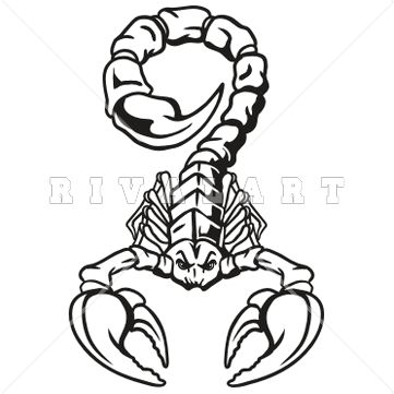 361x361 Clipart Image Of A Scorpion Graphic In Black And White Tshirt