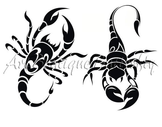 570x445 30 Best Images Insects, Biker And Black White