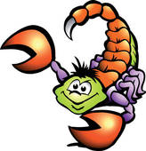 164x170 Scorpion Clip Art