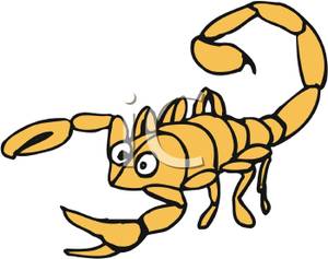 300x237 Scorpion Clipart Scorpio