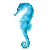 170x170 Seahorse Clip Art