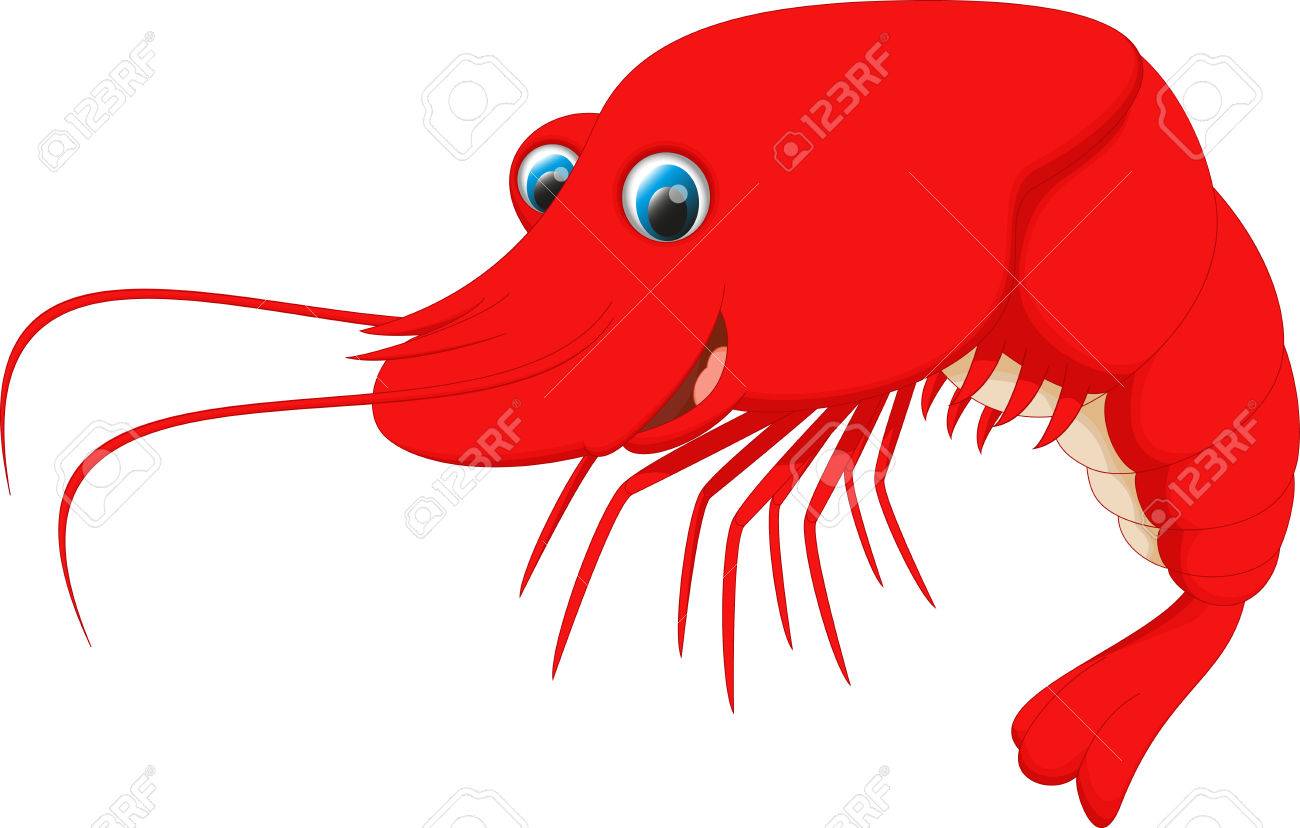 1300x828 Cute Shrimp Cartoon Royalty Free Cliparts, Vectors, And Stock