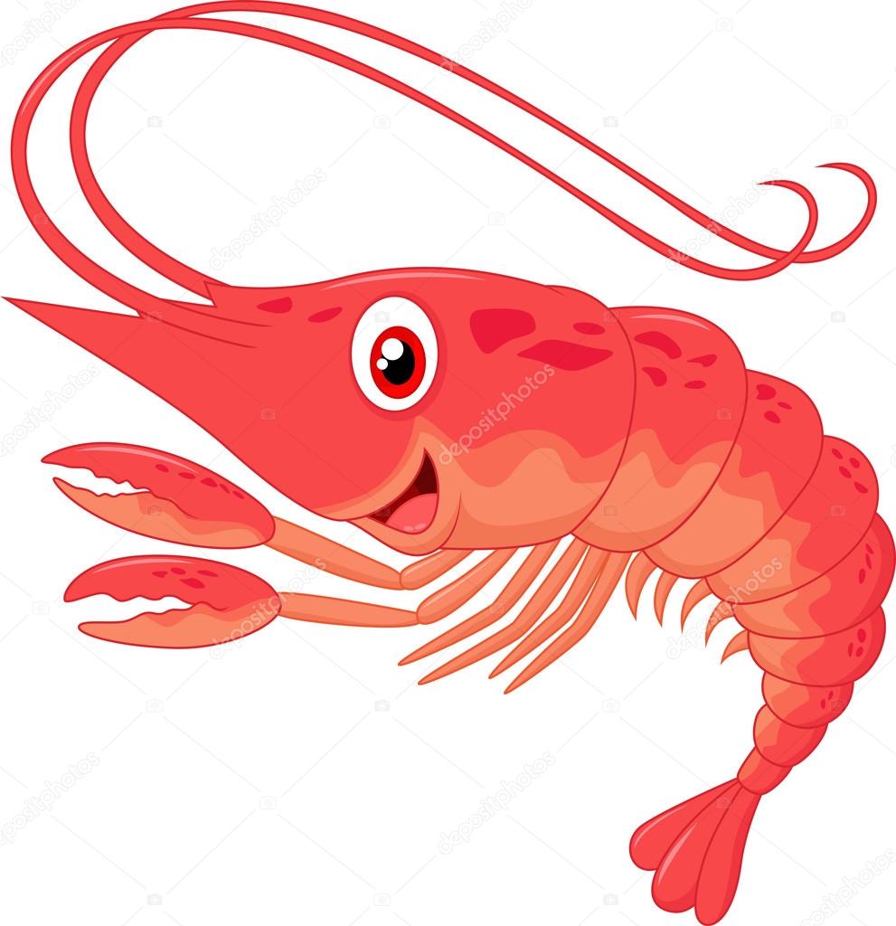 991x1024 Cute Shrimp Clipart