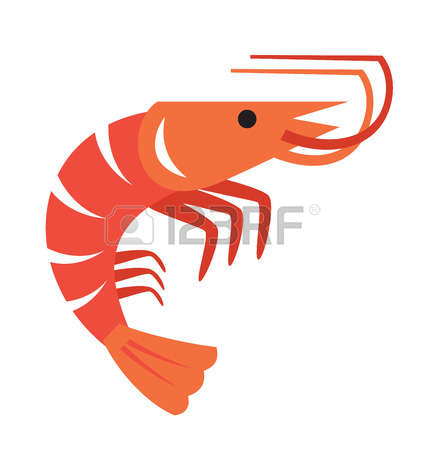 425x450 Prawn Clipart