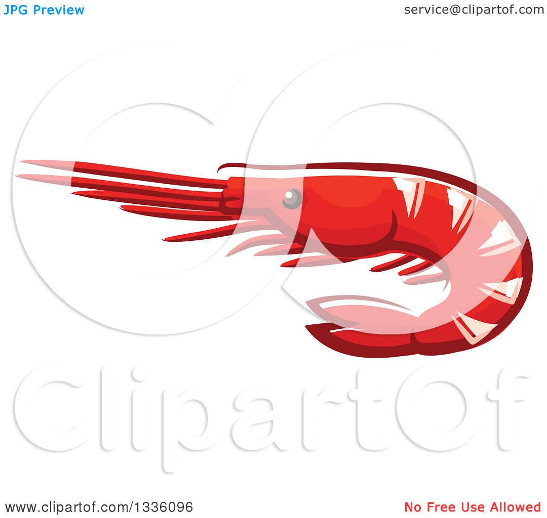 1080x1024 Royalty Free (Rf) Shrimp Clipart, Illustrations, Vector Graphics