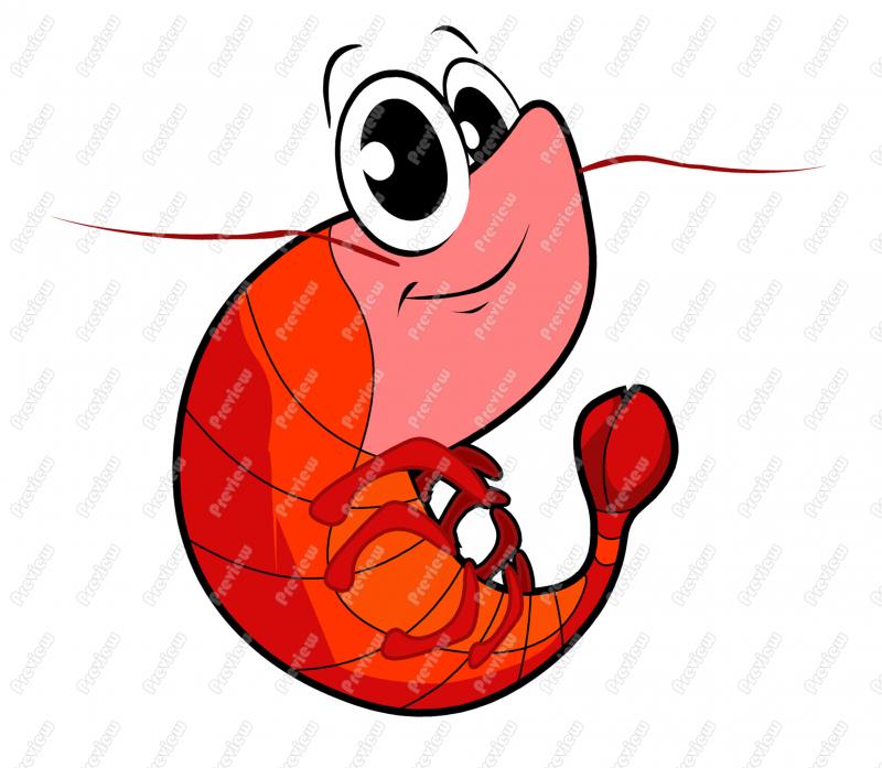 800x697 Shrimp Clipart