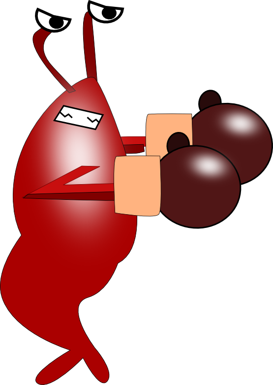 555x782 Shrimp Free To Use Clipart