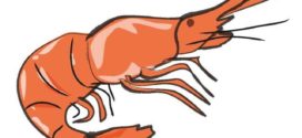 272x125 Seafood Cute Crab Clipart Free Clipart Images Image