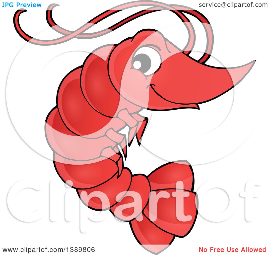 1080x1024 Clipart Of A Cute Happy Shrimp