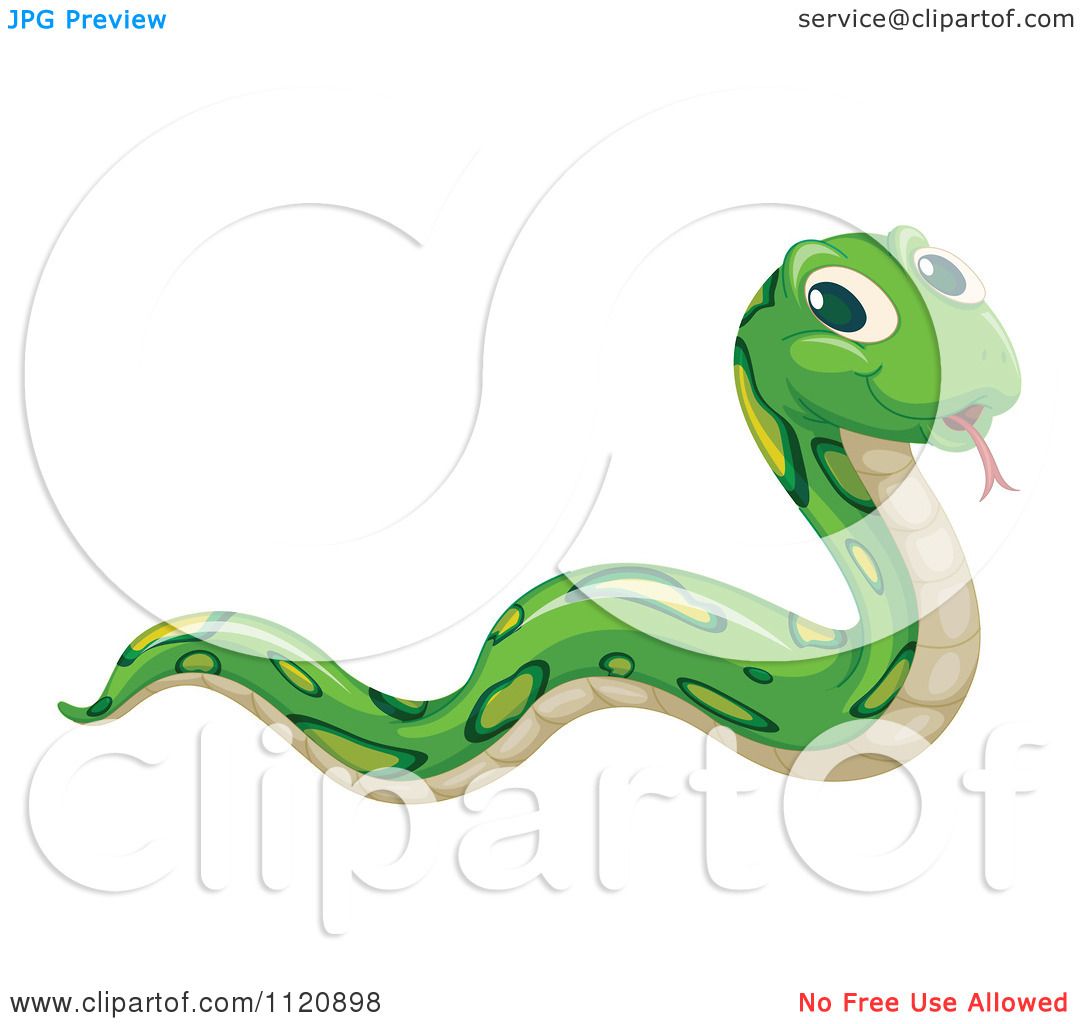1080x1024 Smooth Green Snake Clipart Cute