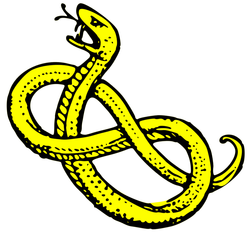 823x770 Snake Clip Art Cute Snake