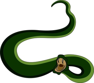 300x267 Snake Clipart Snake Fang