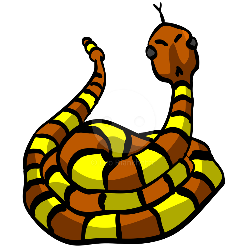 800x800 Cartoon Snakes Clip Art Page 2 Snake Images Clipart Free 4