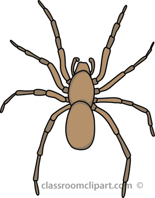 314x400 Clipart Spiders