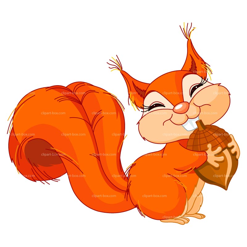 800x800 Top 80 Squirrel Clip Art
