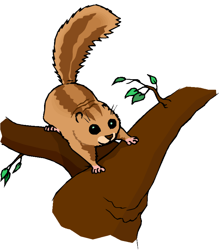 750x856 Chipmunk Clipart Cute