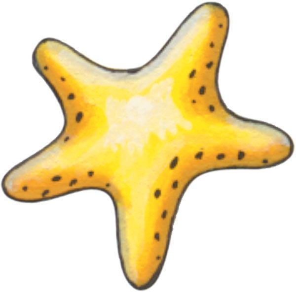 600x593 147 Best Sea Life Clipart Images Angel, Drawings