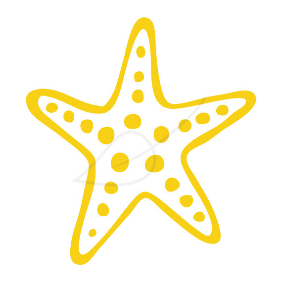 570x570 Starfish Clipart 6