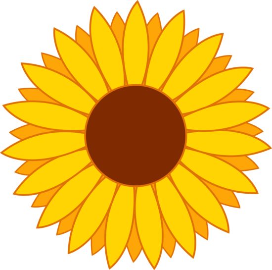 550x545 Sunflower Daisy Clipart, Explore Pictures