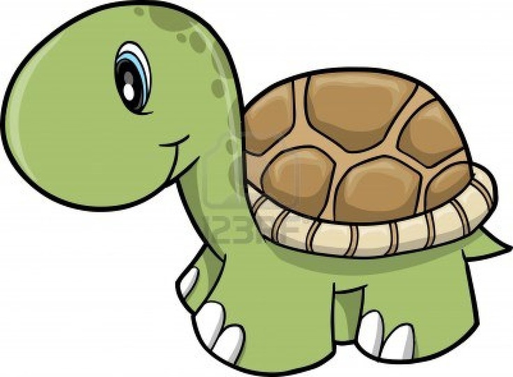 736x541 Tortoise Clipart Reptile
