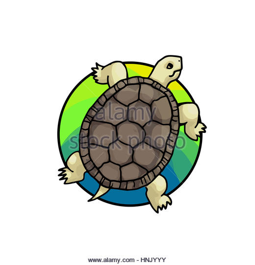 520x540 Zoo Sea Turtle Clipart, Explore Pictures