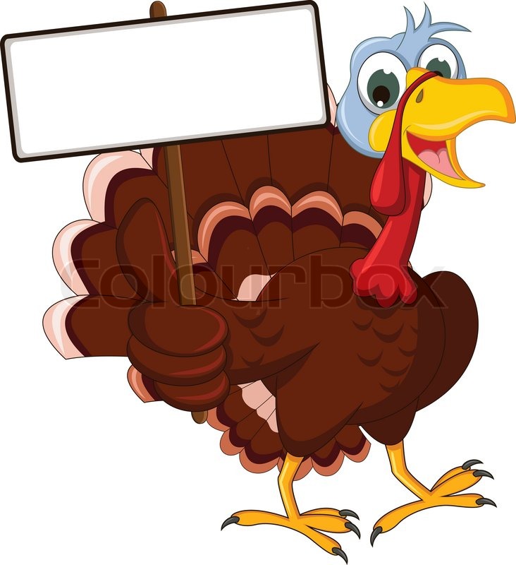 732x800 Funny Turkey Cartoon Posing With Blank Sign Stock Vector Colourbox